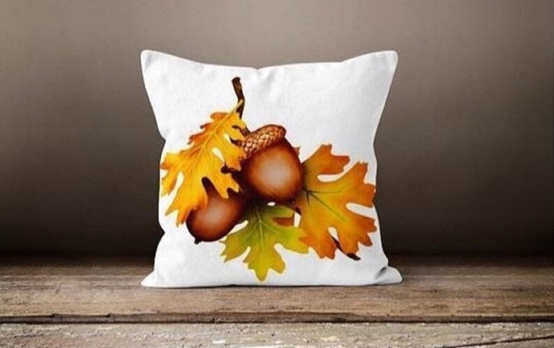 Squirrel Acorn Autumn and Fall Inspired Cushion Cover