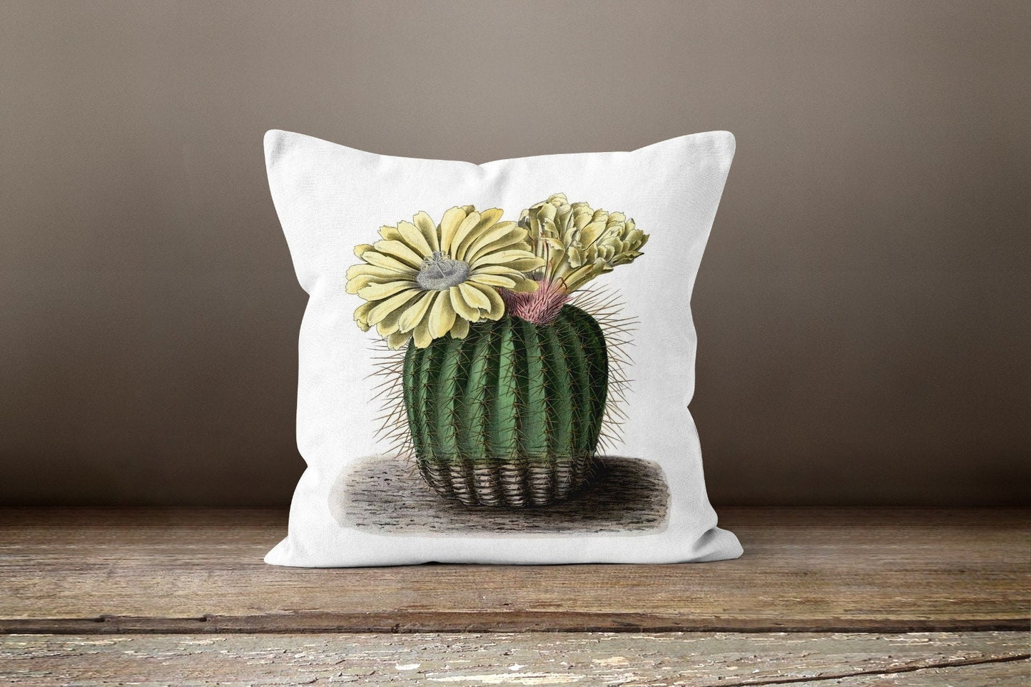 Green Cactus Succulent Plant Botanical Cushion Cover